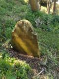 image of grave number 790697